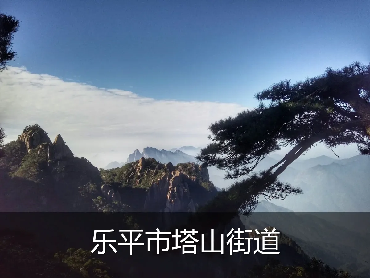 乐平市塔山街道